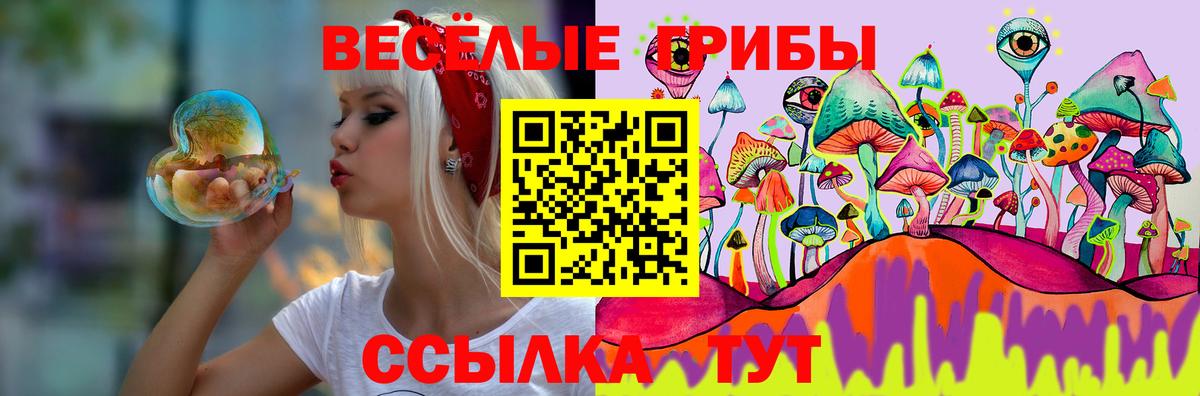 Псилоцибиновые грибы Psilocybine cubensis  Вход с VPN  Мыски 